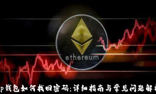 
tp钱包如何找回密码：详细指南与常见问题解析