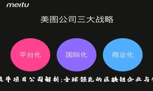 区块链最牛项目公司解析：全球领先的区块链企业与创新动态