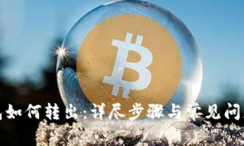 tp钱包如何转出：详尽步骤与常见问题解析