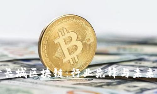 探讨长城区块链：行业先锋与未来展望