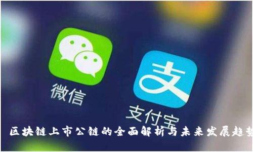 : 区块链上市公链的全面解析与未来发展趋势