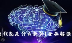 区块链芯片钱包是什么软