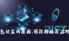 TP钱包被盗的原因、预防措施与应对方案
