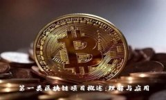 第一类区块链项目概述：