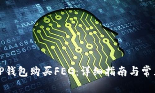 如何通过TP钱包购买FEG：详细指南与常见问题解析