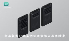 全面解析TP域名的使用方法