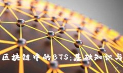 深入了解区块链中的BTS：