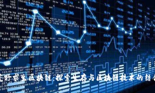 荒野求生区块链：探索生存与区块链技术的结合