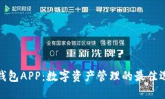 TP钱包APP：数字资产管理的
