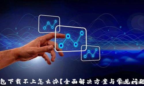 
TP钱包下载不上怎么办？全面解决方案与常见问题解析