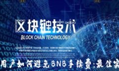 TP钱包用户如何避免BNB手续