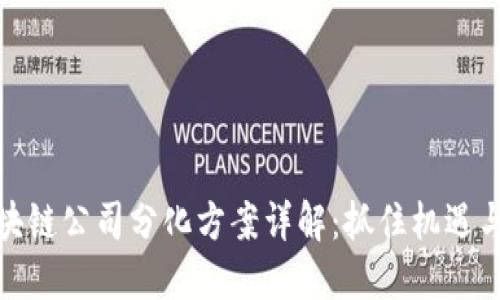 : 区块链公司分化方案详解：抓住机遇与挑战