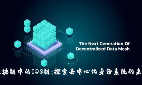区块链中的IDS链：探索去中心化身份系统的未来