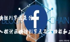 区块链Pi节点是什么深入探
