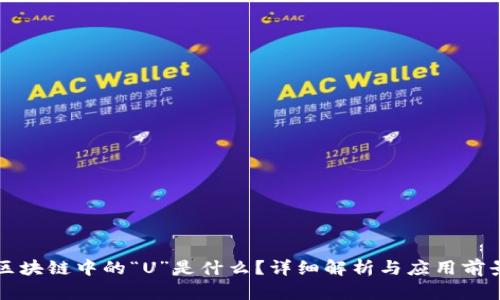 区块链中的“U”是什么？详细解析与应用前景