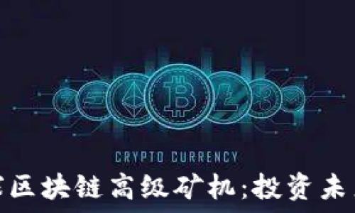   
深入解读雪球区块链高级矿机：投资未来的智能选择