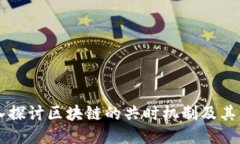 深入探讨区块链的共时机