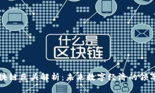 区块链巨头解析：未来数字经济的领军者