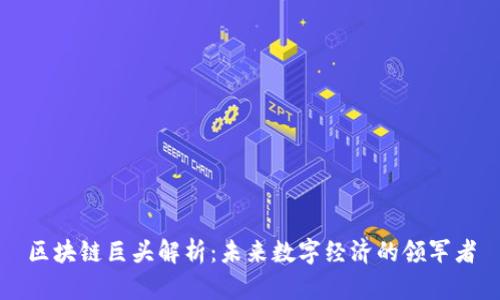 区块链巨头解析：未来数字经济的领军者