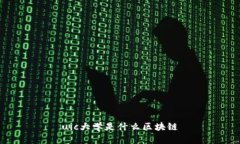 uic大学是什么区块链