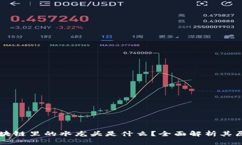 Title: 区块链里的水龙头是什么?全面解析其原理与应用