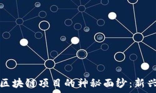  

揭开无投资区块链项目的神秘面纱：新兴机遇与挑战