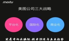 发展中的区块链：技术演