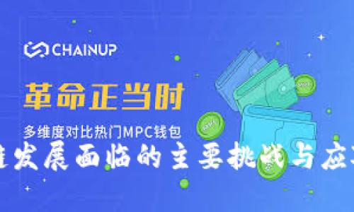 区块链发展面临的主要挑战与应对策略
