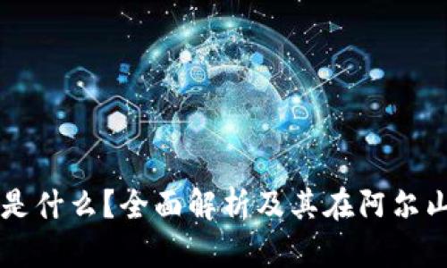 区块链是什么？全面解析及其在阿尔山的应用