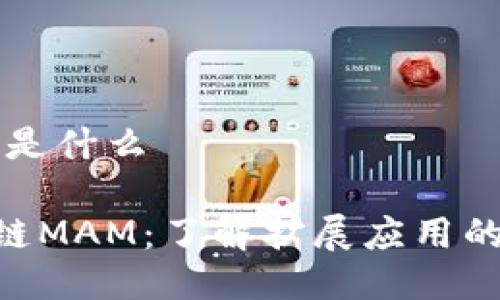 区块链MAM是什么

ziaoti区块链MAM：了解扩展应用的革命性技术