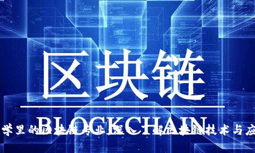 大学里的区块链专业：深入了解区块链技术与应用