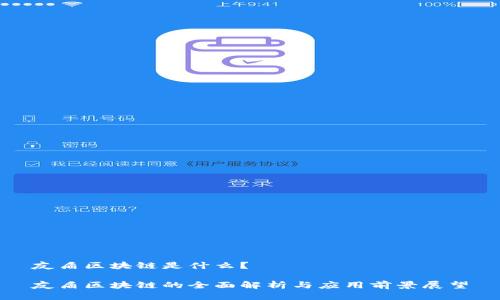 友盾区块链是什么？

友盾区块链的全面解析与应用前景展望