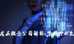 : 区块链龙头概念公司解析
