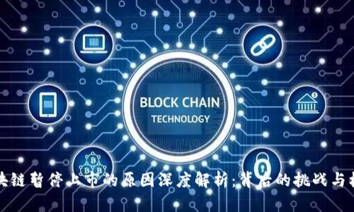 区块链暂停上市的原因深度解析：背后的挑战与机遇