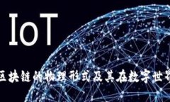 : 揭秘区块链的物理形式及