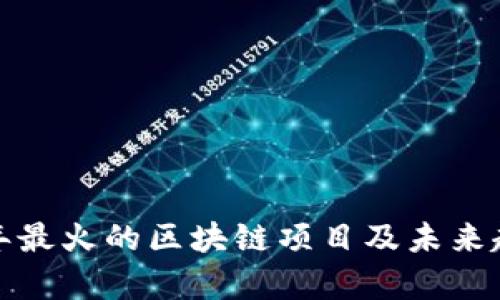  2023年最火的区块链项目及未来趋势分析