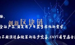 cnyt区块链的CNYT是什么？探