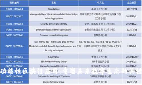 功能性区块链应用:重塑未来数字生态的关键