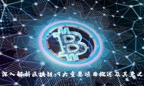 深入解析区块链：9大重要项目概述及其意义