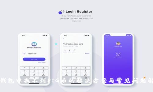 TP钱包中找不到PIG币的解决方案与常见问题解析