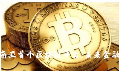 : 探索南亚首个区块链平台：未来金融的先锋