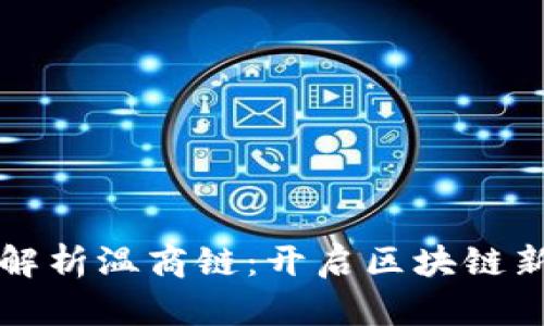 深入解析温商链：开启区块链新未来