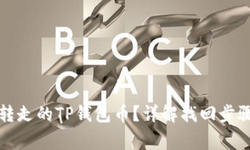 如何找回被转走的TP钱包币？详解找回步骤与注意事项
