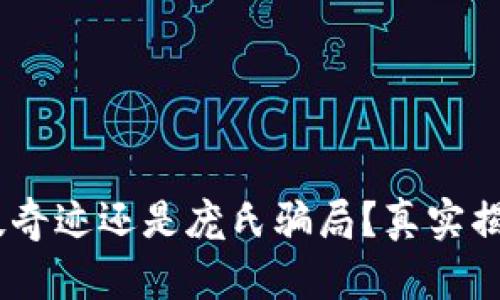 : 区块链：科技奇迹还是庞氏骗局？真实揭秘与深入分析