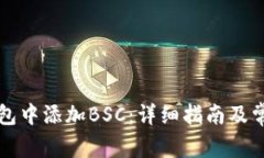 如何在TP钱包中添加BSC：详