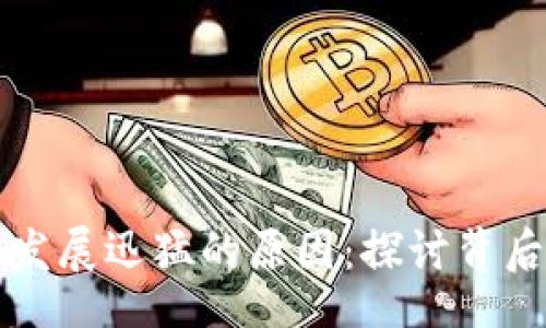 br
区块链技术发展迅猛的原因：探讨背后的驱动因素