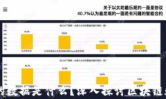 区块链中存储的数据是什