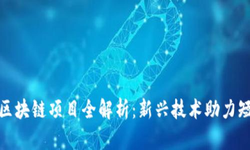 抖音剪辑区块链项目全解析：新兴技术助力短视频时代