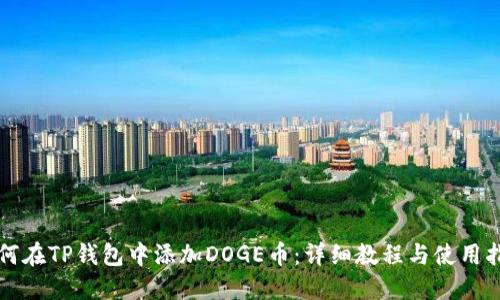 如何在TP钱包中添加DOGE币：详细教程与使用指南