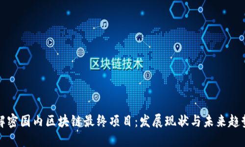 解密国内区块链最终项目：发展现状与未来趋势